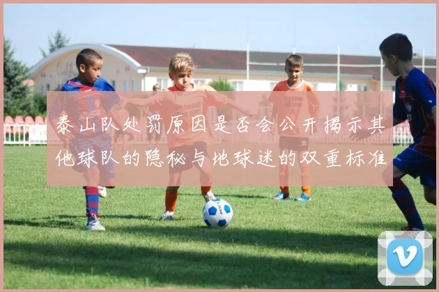 泰山队处罚原因是否会公开揭示其他球队的隐秘与地球迷的双重标准
