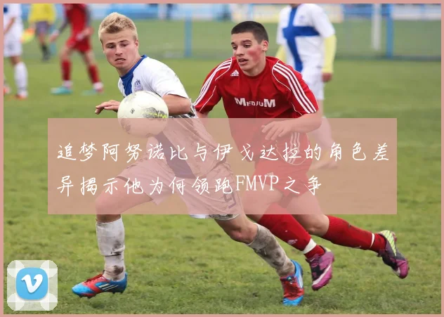 追梦阿努诺比与伊戈达拉的角色差异揭示他为何领跑FMVP之争